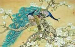 Chim công và họa mi