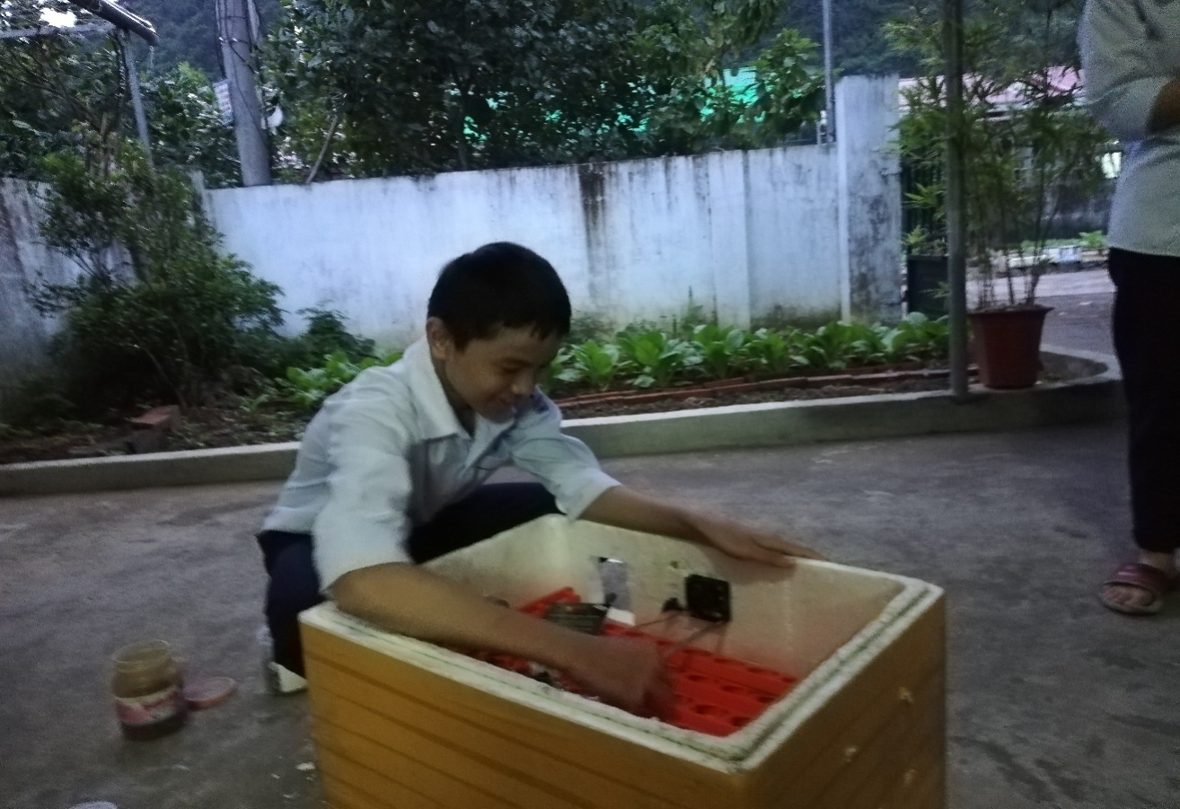 Máy ấp trứng gia cầm