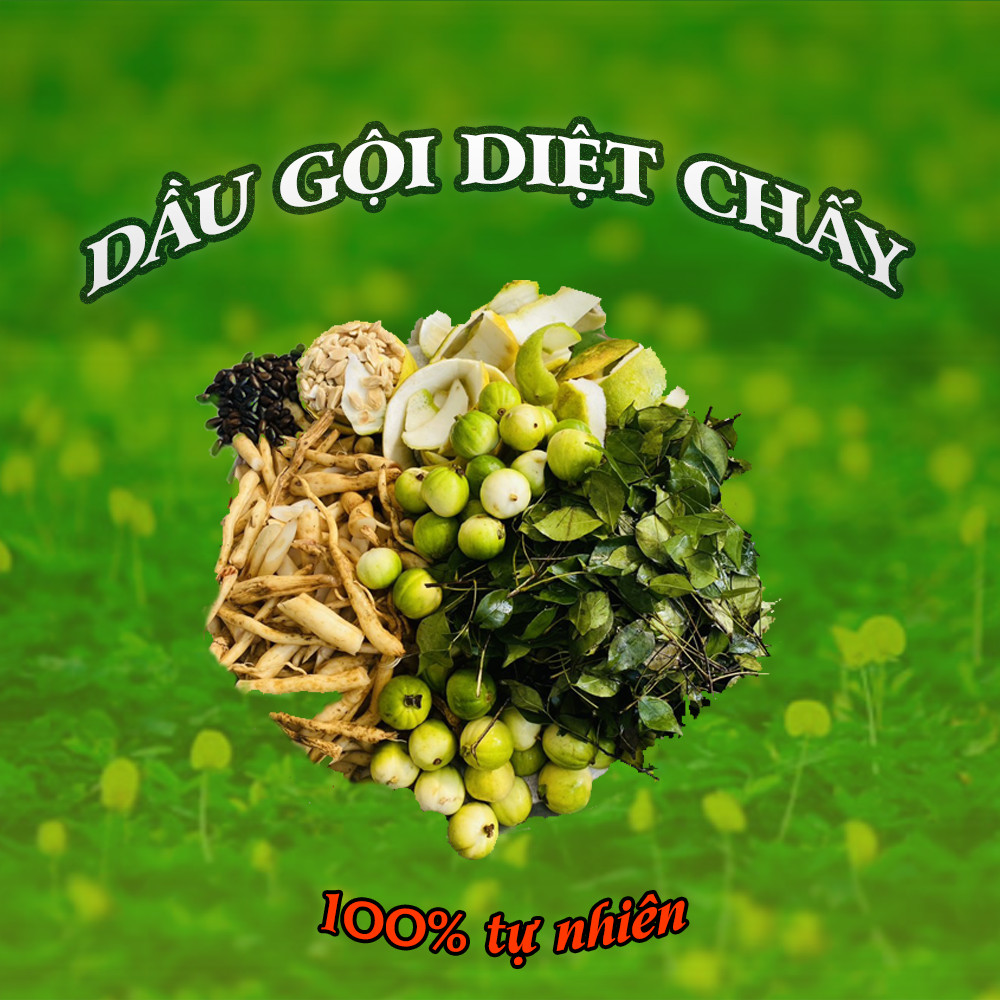 Bộ sản phẩm diệt chấy từ tự nhiên