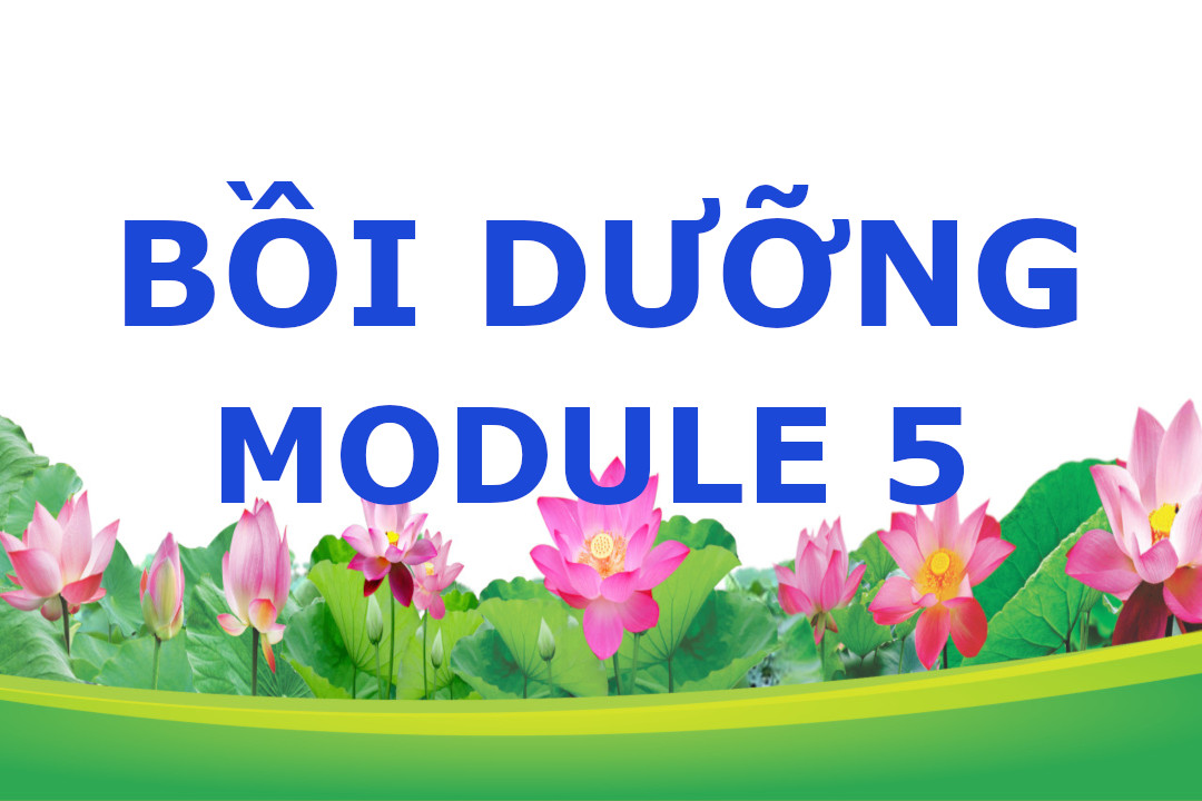 Bài tập cuối khóa Bồi dưỡng Module 5 cho Cán bộ quản lý trường Phổ thông